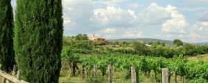 Casa Pumba - View from the road