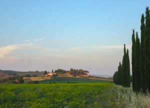 Casa Pumba - Colle di Lupo nearby location