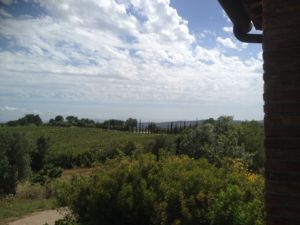 Casa Pumba