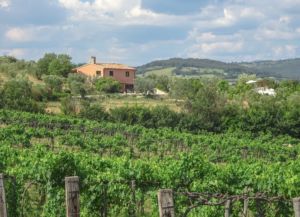 Casa Pumba - view from the road